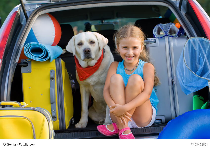 Ein kleines, blondes Mädchen sitzt mit einem großen Hund mit rotem Tuch um in dem Kofferraum eines Autos zwischen Koffern.