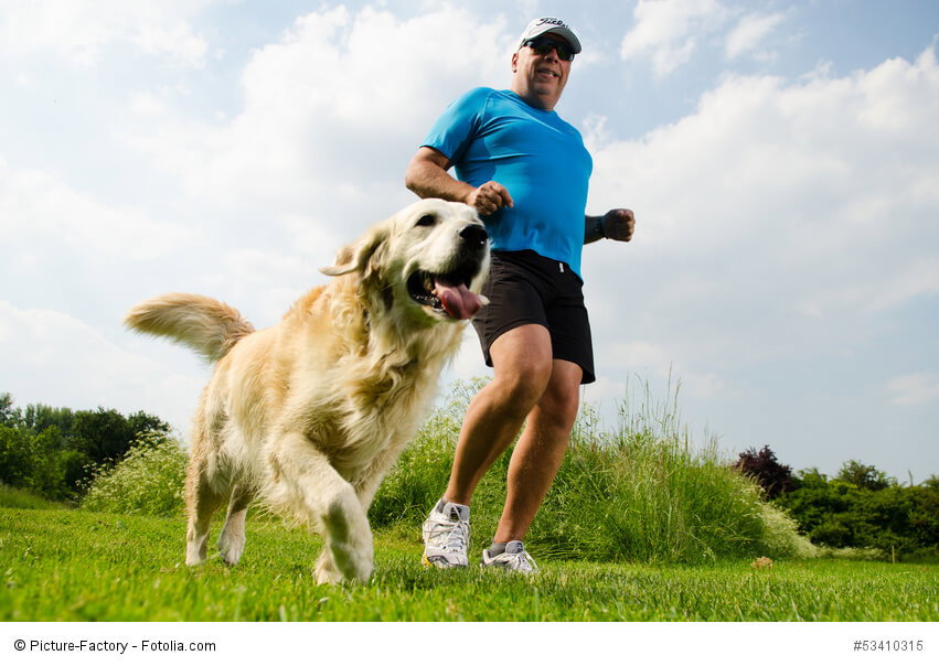 Gemeinsam fit durch den Sommer – ein kleiner Ratgeber zum Joggen mit Hund
