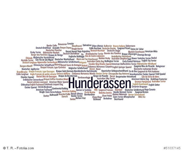Hunderassen