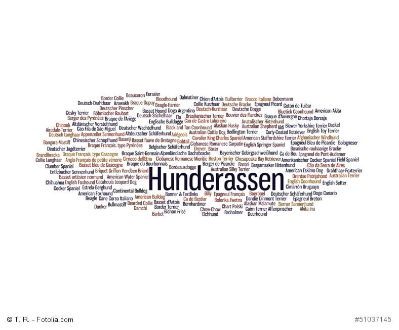 Hunderassen