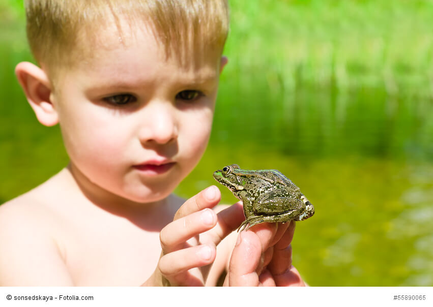 Ein kleiner Junge begutachtet einen Frosch auf seiner Hand