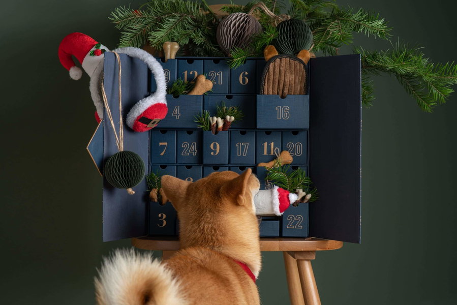 Adventskalender für Hunde 2022