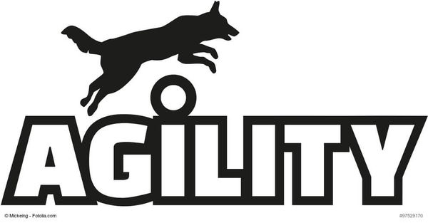 Was ist Agility?