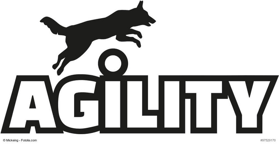 Was ist Agility?