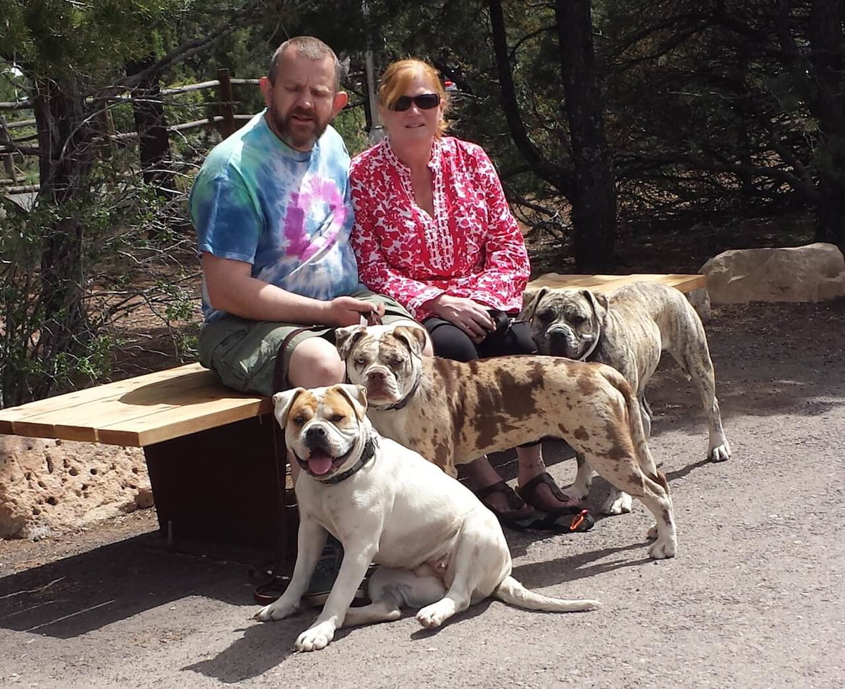 3 Alapaha Blue Blood Bulldoggen zusammen mit ihren Züchtern