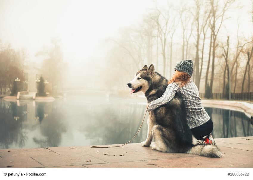Junges Mädchen mit Alaskan Malamute im Arm
