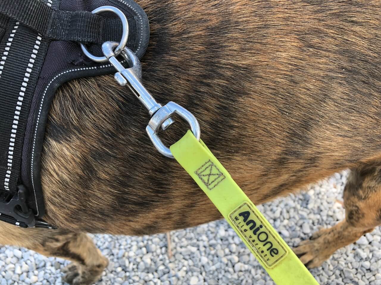 Übergang von Easy Life Schleppleine zu Karabiner