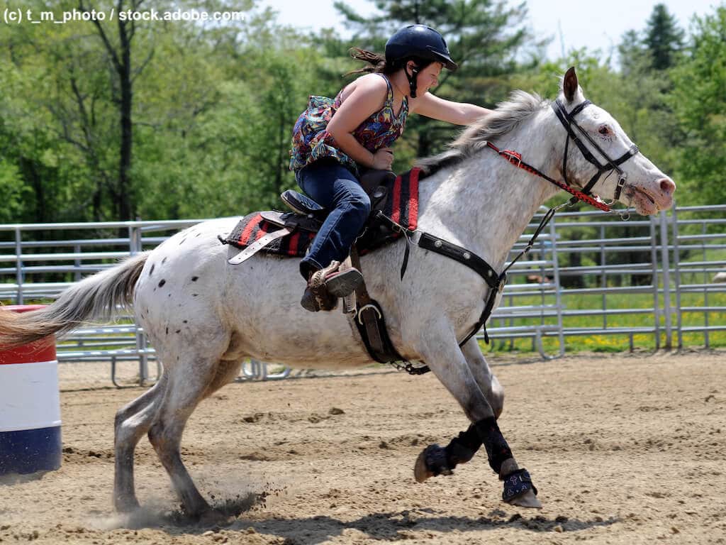 Westernreiten mit Appaloosa