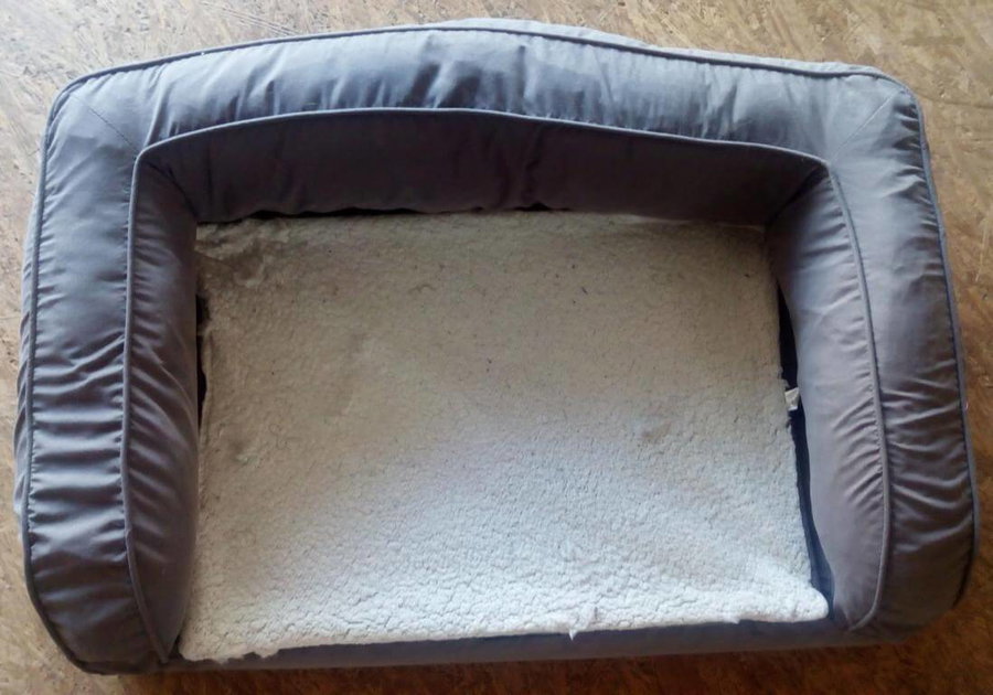 Orthopädisches Hundesofa mit Memory Foam im Test