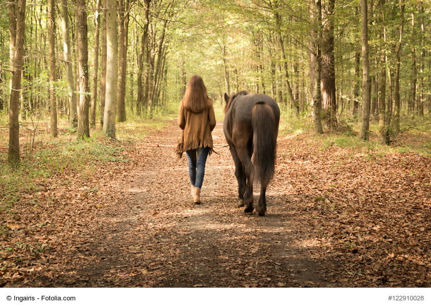 Ältere Tiere möchten auch beschäftigt werden, z.B. mit einem Spaziergang