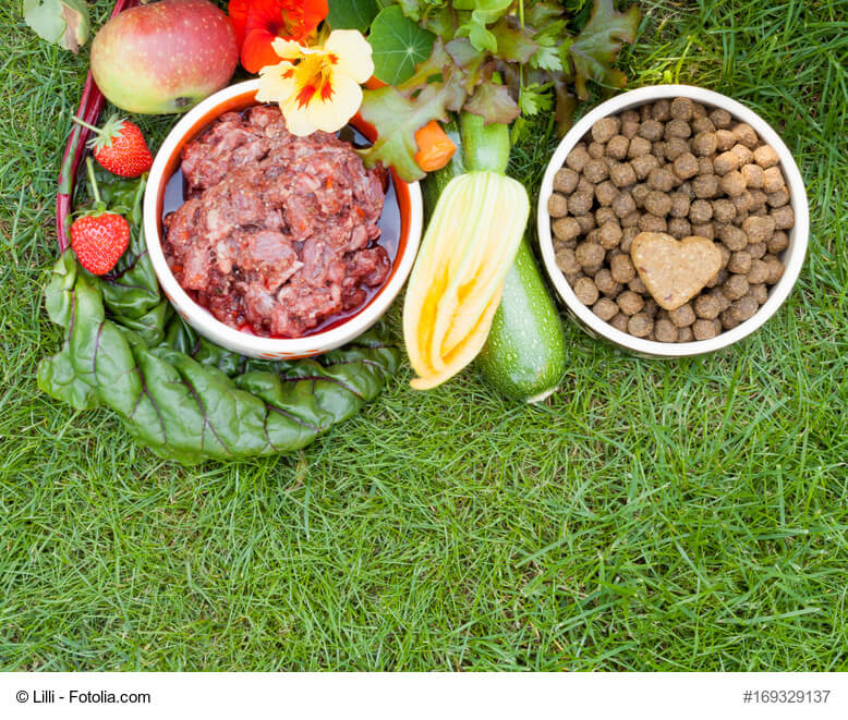 Verschiedene Hundefutter Sorten und frisches Fleisch umringt von Gemüsesorten
