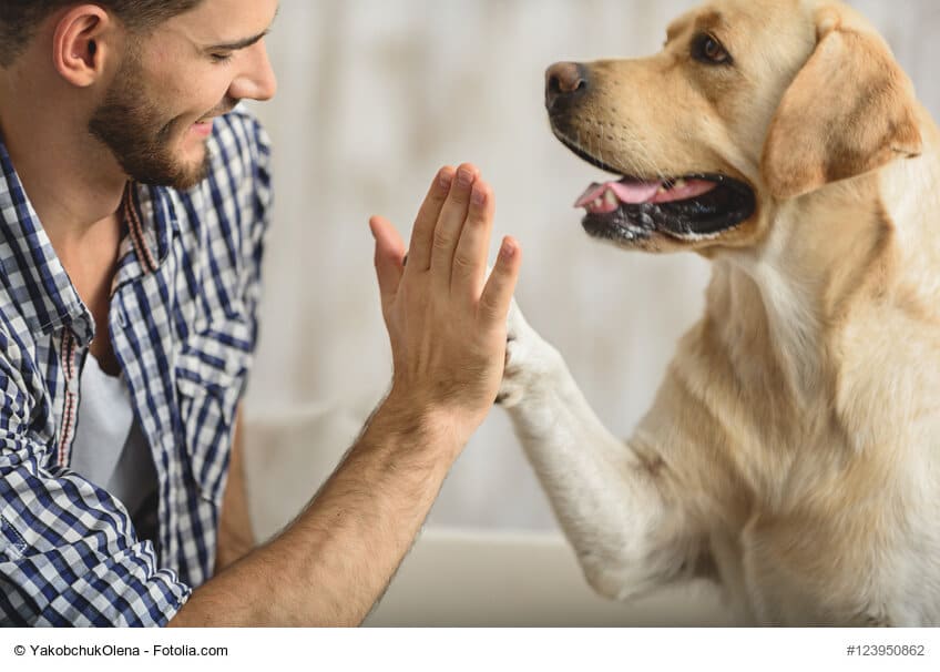 Mann und Hund geben sich die Hand/Pfote