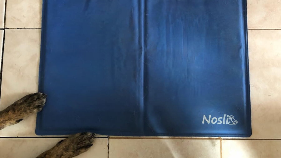 Kühlmatte Nosli im Test