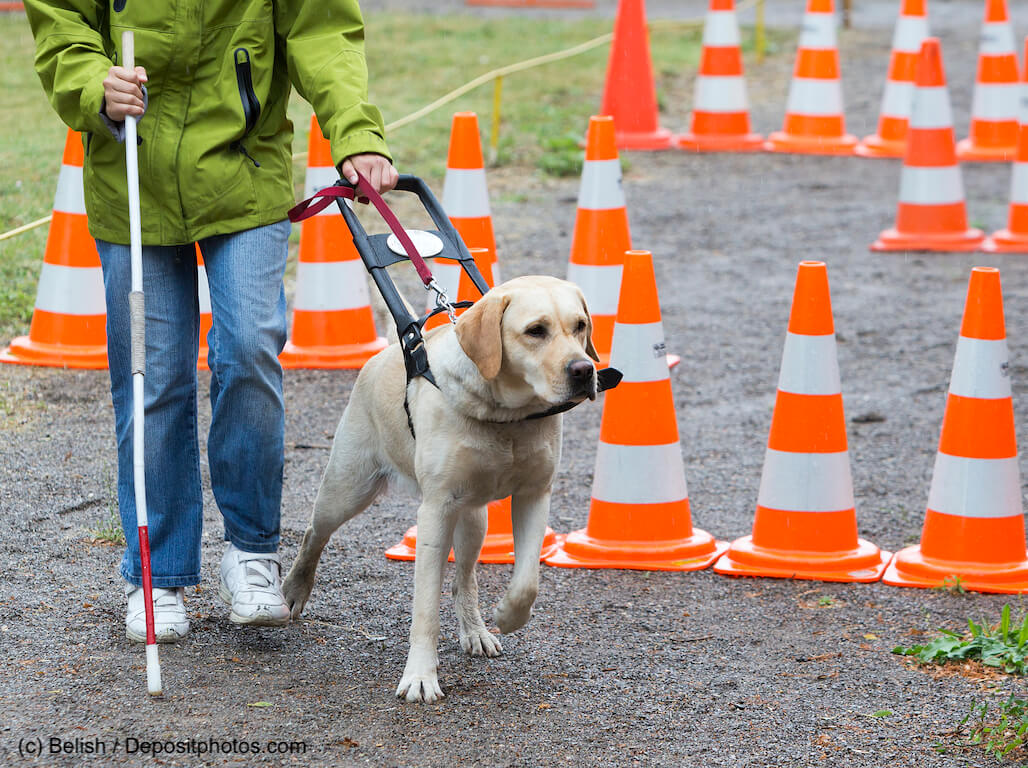 Blinder Mensch mit ihrem Blindenhund