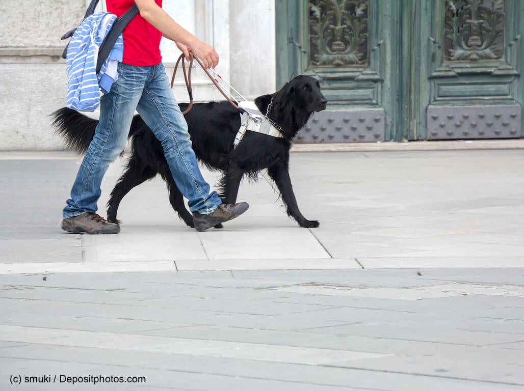 Blindenhund hilft blindem Mann in der Stadt
