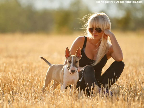 Der Sachkundenachweis für den Hund - wer braucht ihn?