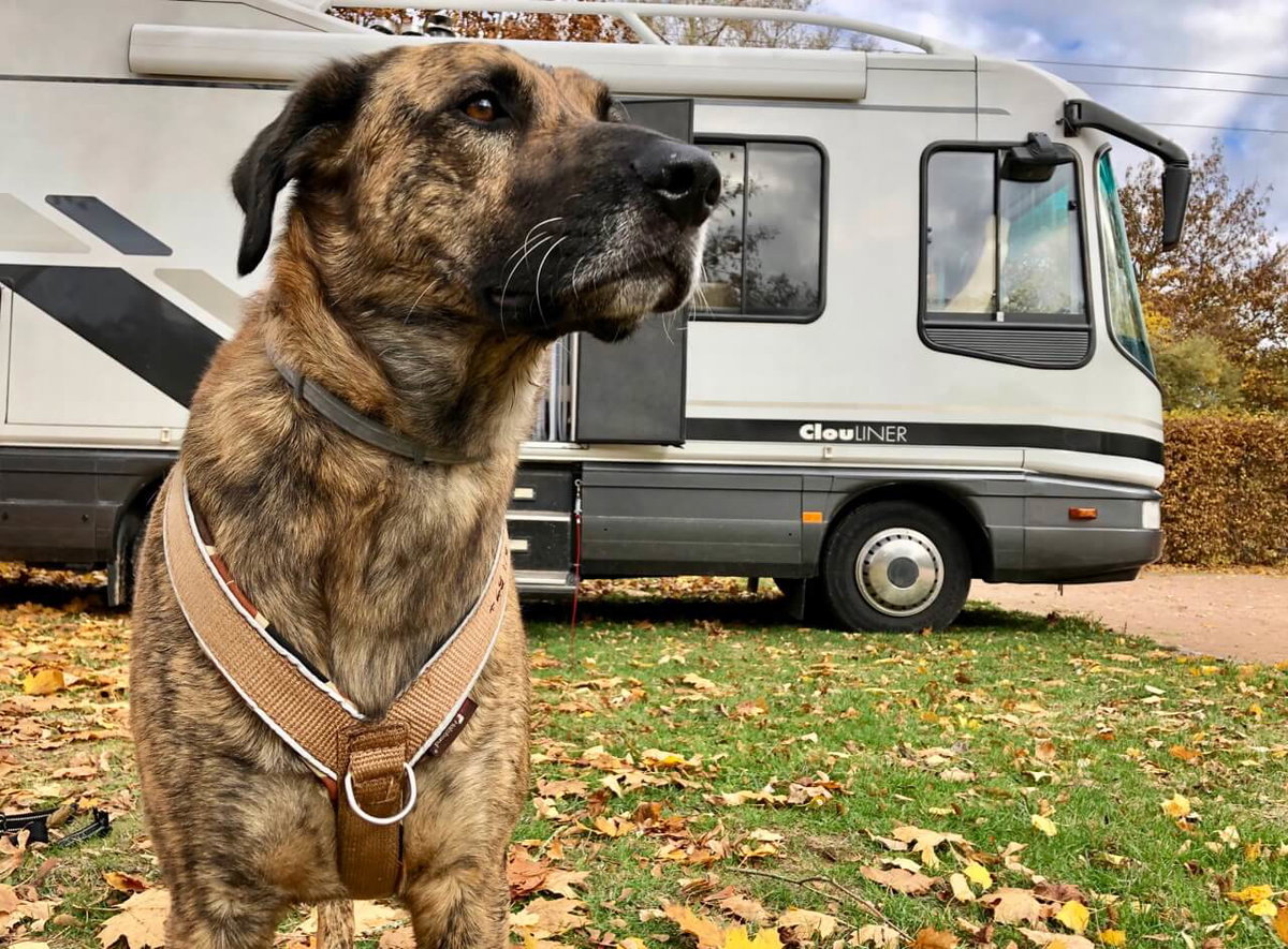 Castro Laboreiro Wohnmobil