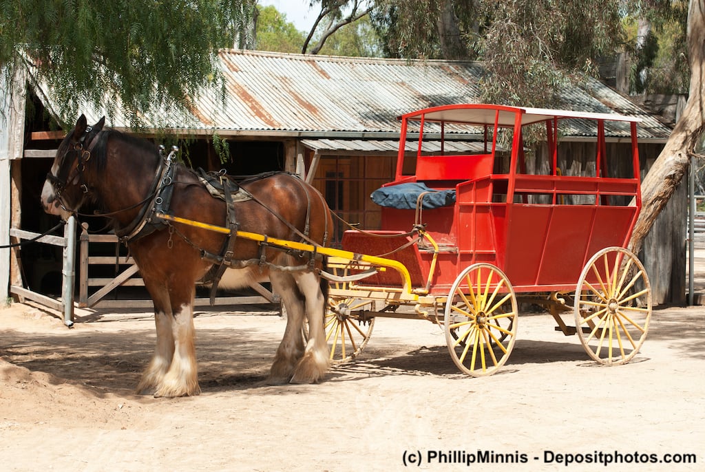 Immer wieder imposant zu sehen, ein Clydesdale als Kutschpferd