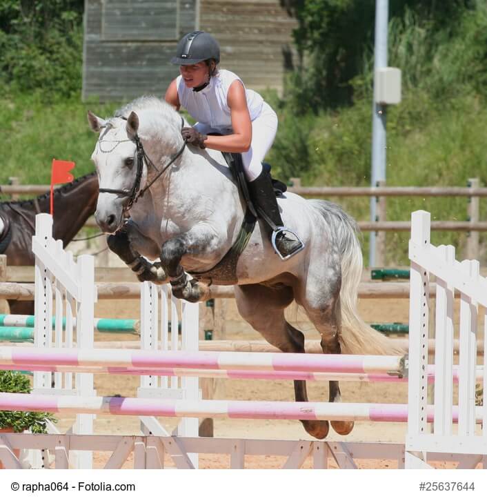 Connemara-Pony Schimmel samt Reiterin während eines Sprungs über ein Hindernis.