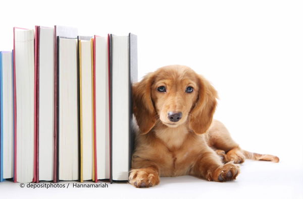 Kaufratgeber: Die besten Welpenbücher