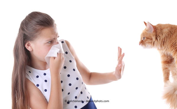 Haustiere trotz Allergie – geht das?