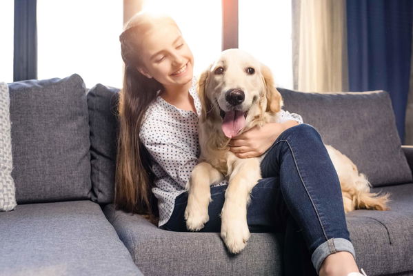 Die Eingewöhnung eines erwachsenen Hundes – wichtige Tipps
