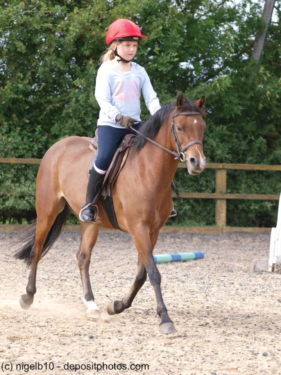 Deutsches Reitpony mit Reiterin