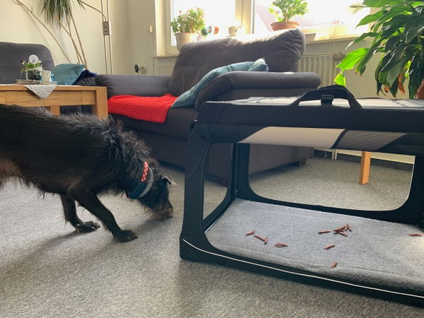 Die Faltbare Hundebox Trixie Vario30 im Test