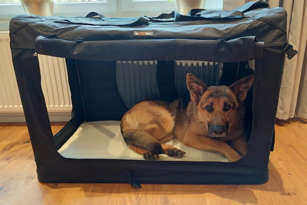 Die faltbare Transportbox für Hunde von Feandrea im Test