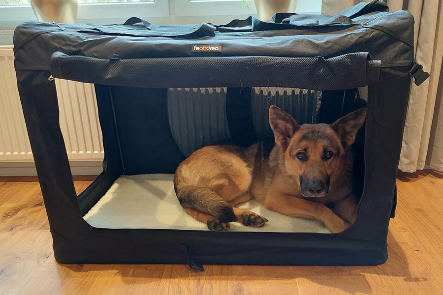 Die faltbare Transportbox für Hunde von Feandrea im Test