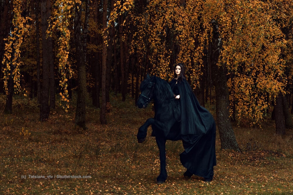 Gothicshow mit Friese