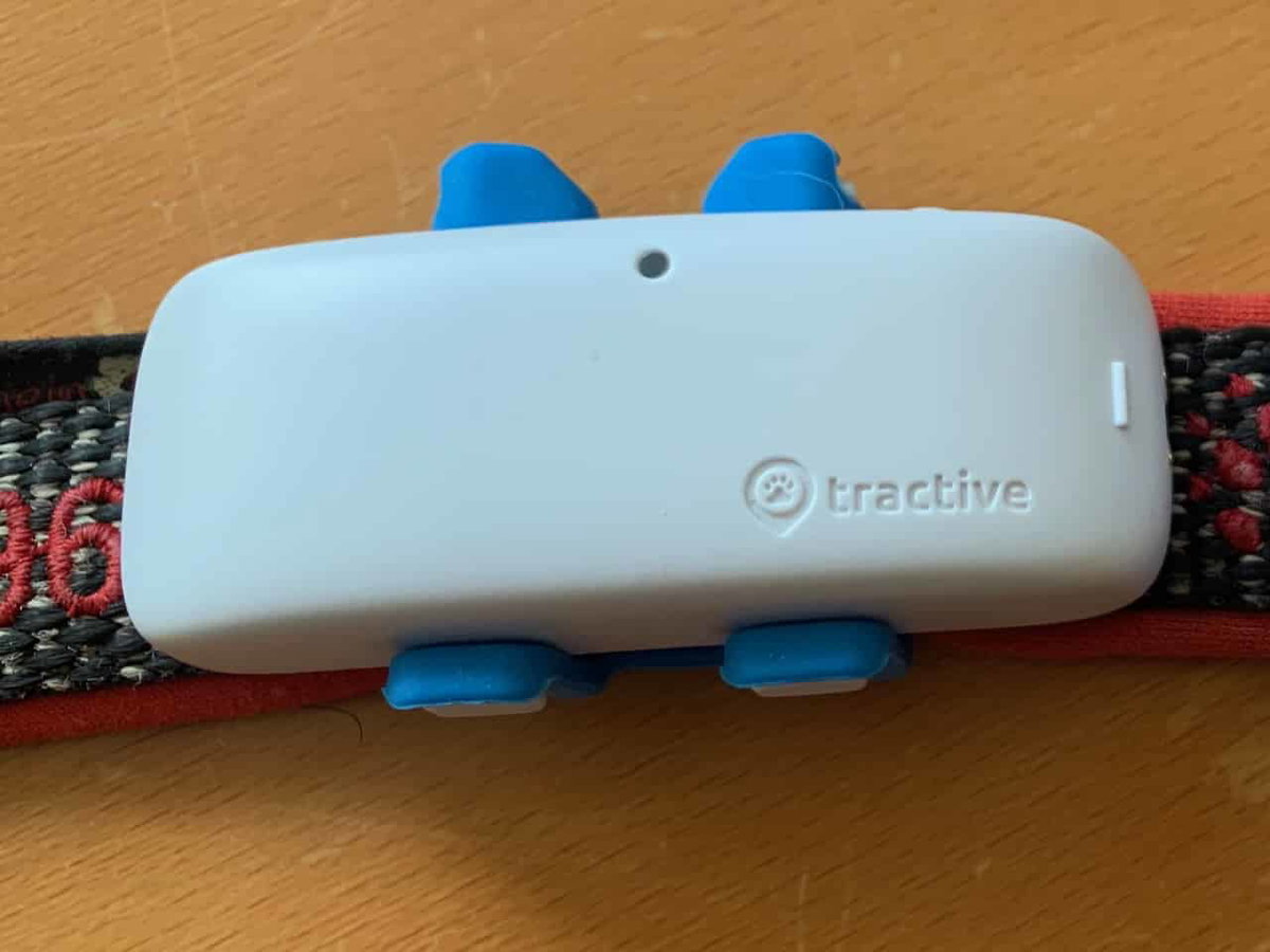 Der GPS-Tracker DOG 4 von tractive ist abgerundet, ohne Kanten.