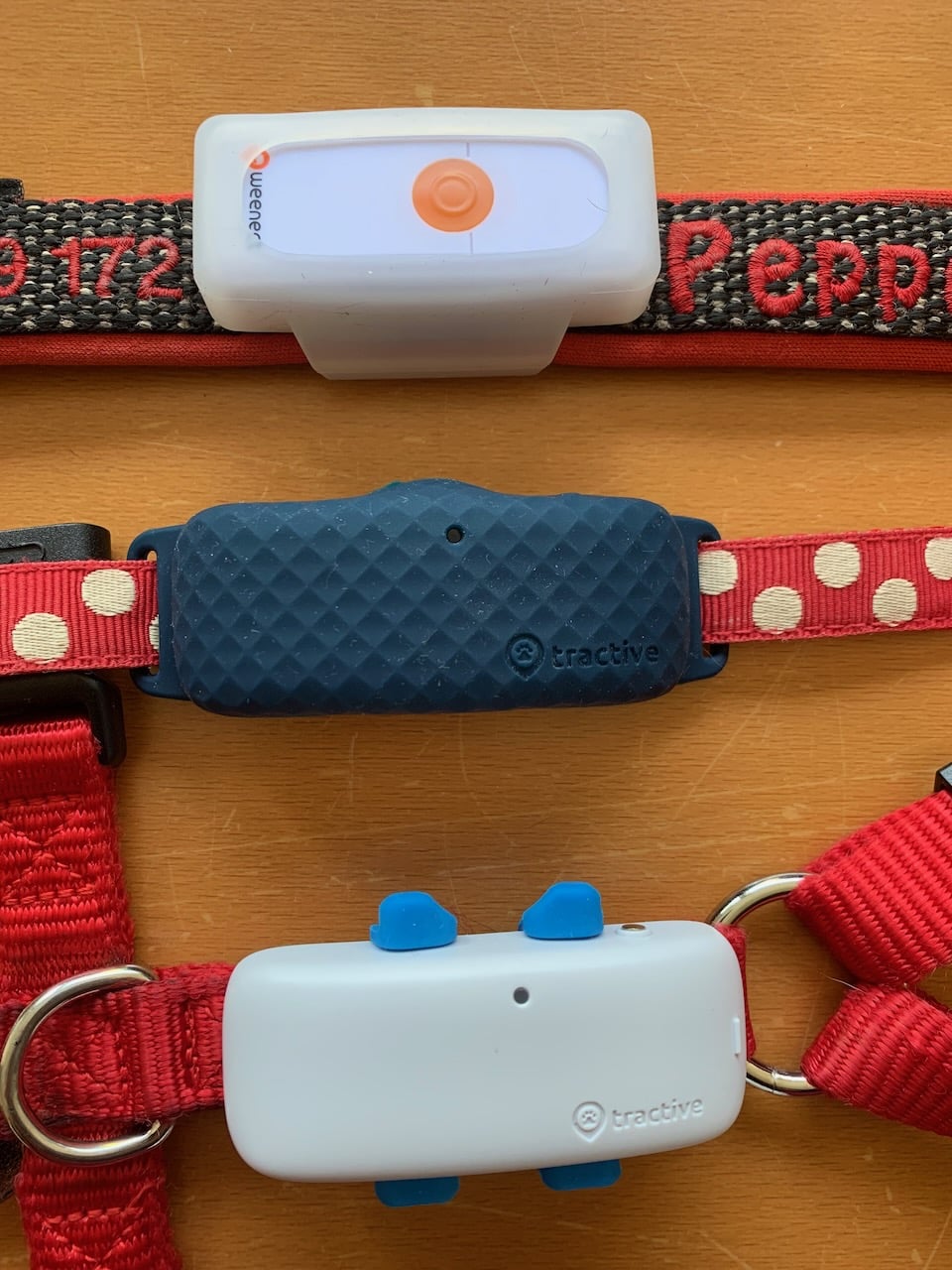 Hier siehst Du verschiedene GPS-Tracker für Hunde und Katzen im Vergleich