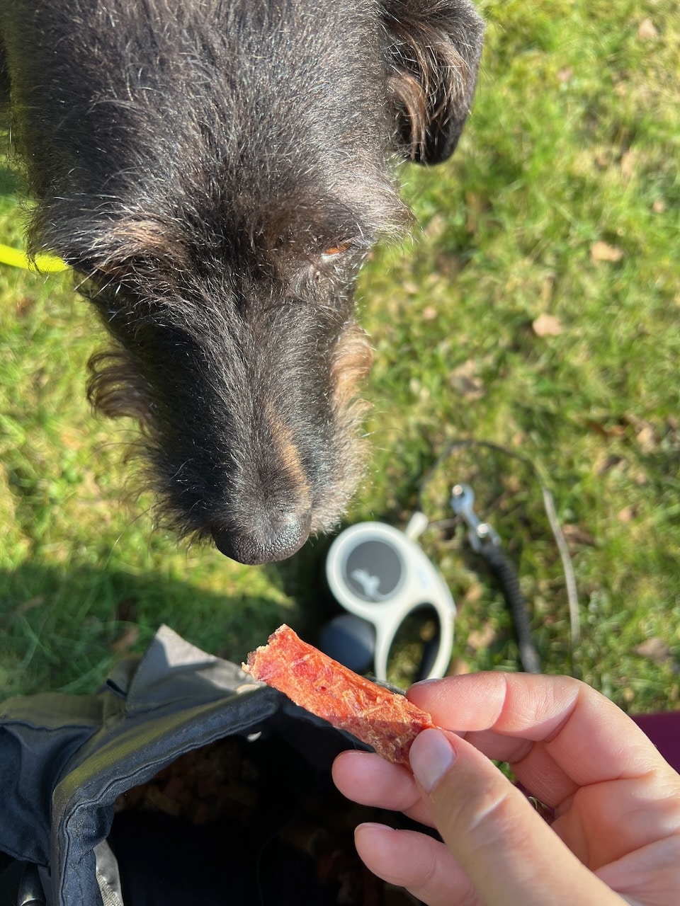 TwinTreat Plus Gassitasche von TrendPet im Test