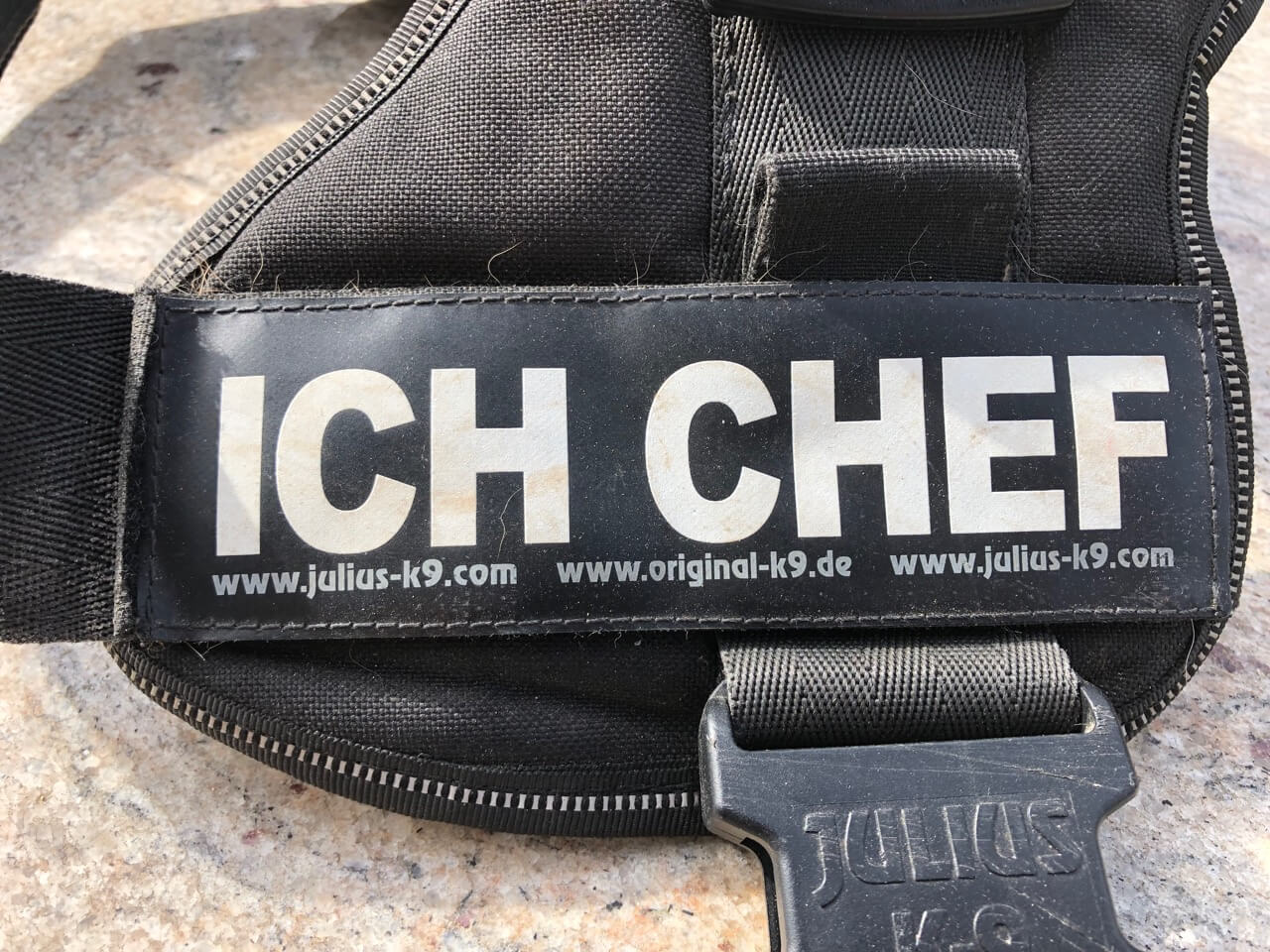 Julius K9 Hundegeschirr im Test