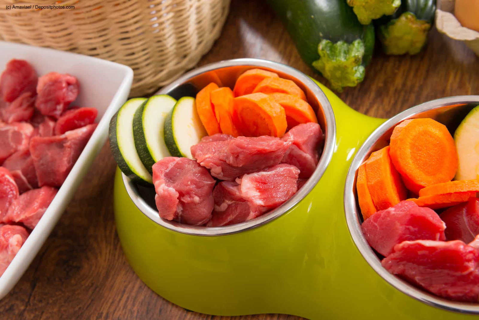 Ein Hundenapf mit rohem Fleisch, Karotten und Zucchini. Die Beschriftung lautet: Hypoallergenes Futter enthält nur eine Proteinquelle und wenige andere Zutaten.