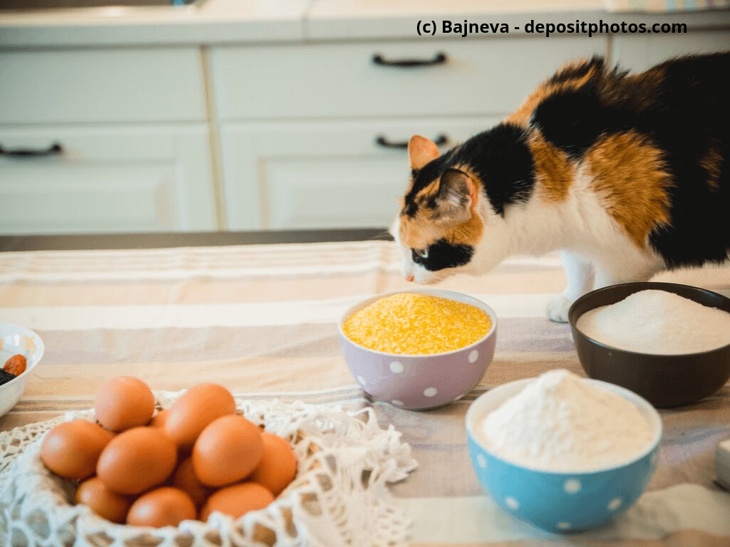 Katze mit Backzutaten
