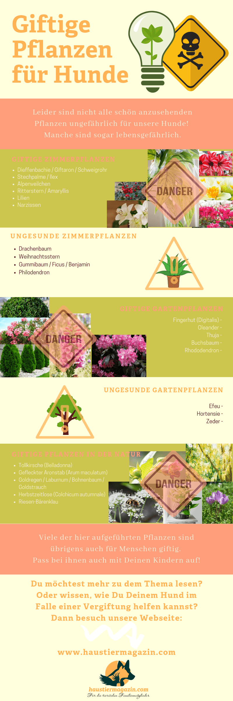 Infografik mit Namen und Bildern von giftigen Pflanzen für Hunde aufgeteilt in sehr giftige und weniger giftige Zimmer- und Gartenpflanzen.