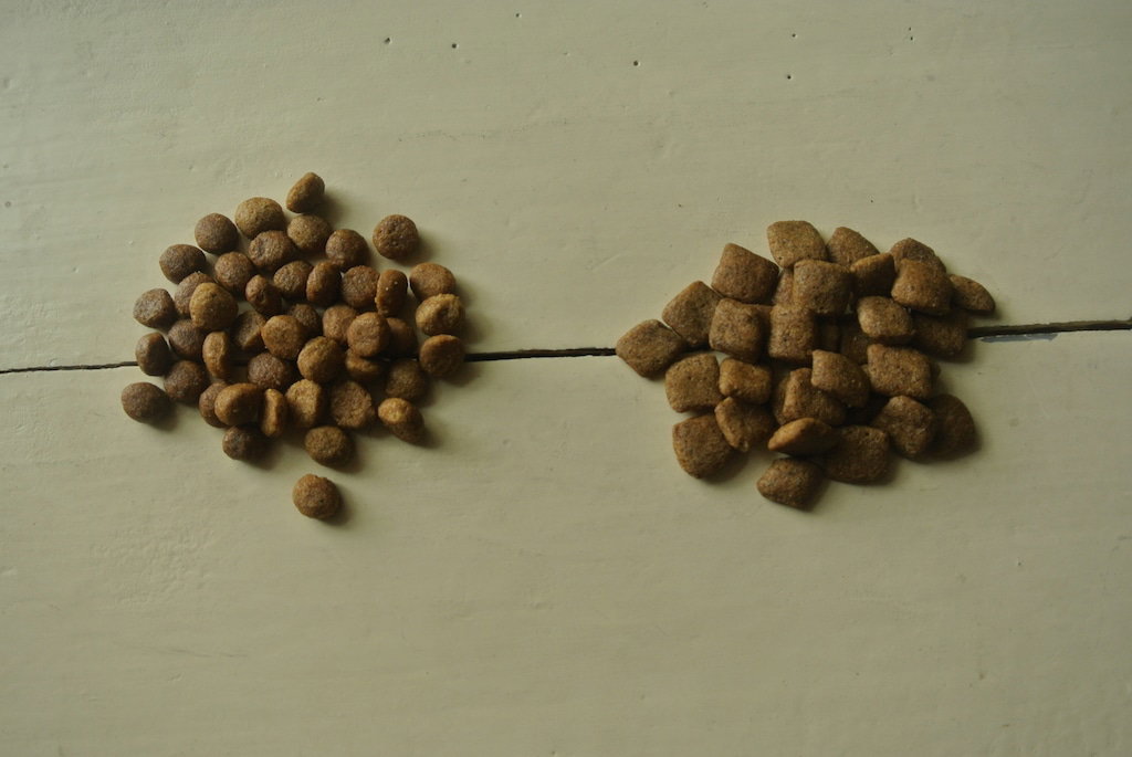 Green Petfood im Test: Vergleich der beiden Sorten