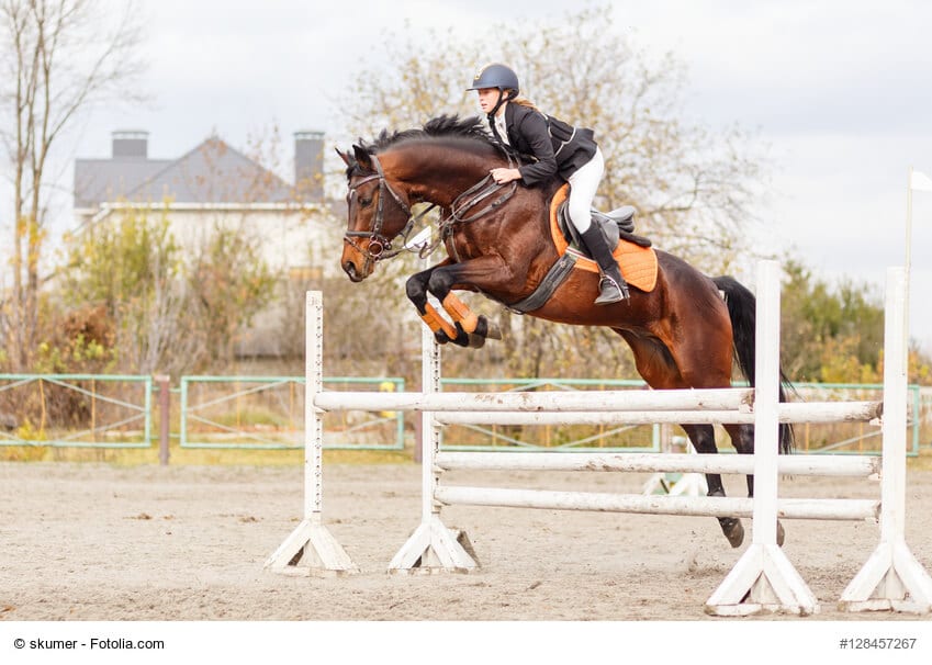 Ein Pferd springt über ein Hindernis mit einem Turnierreiter auf dem Rücken. Die Beschriftung lautet: Eine gute Pferdeausbildung und die richtige Reitsportausstattung kosten viel Geld.