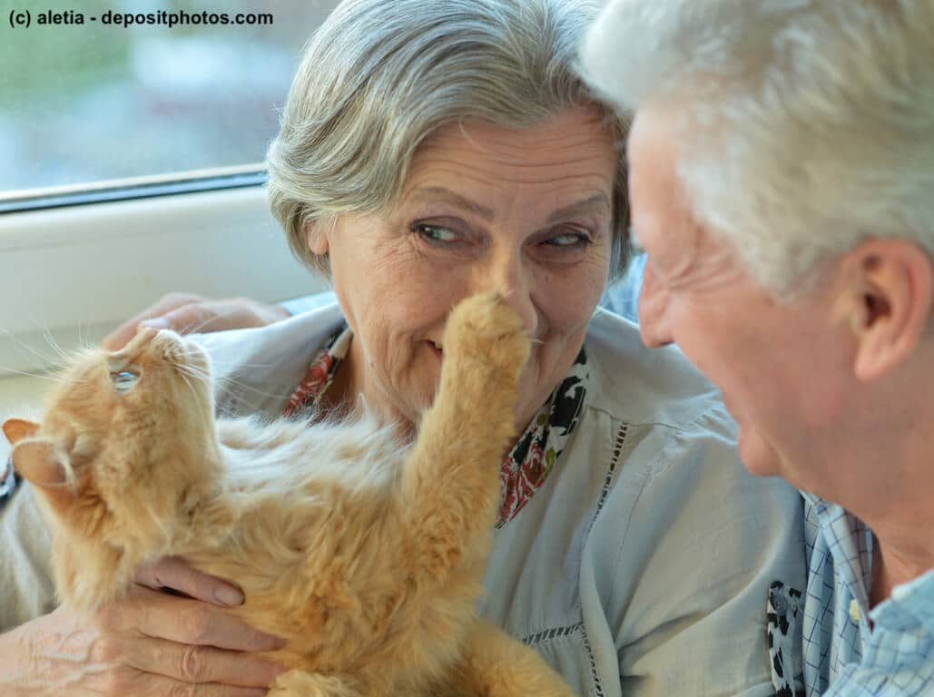 Älteres Ehepaar kuschelt mit roter Langhaar-Katze.