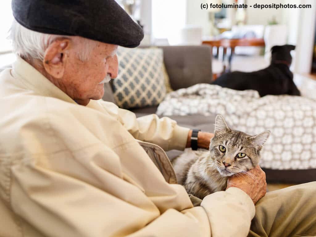 Ein alter Mann mit Mütze sitzt mit Tigerkatze auf dem Schoß in Wohnung.