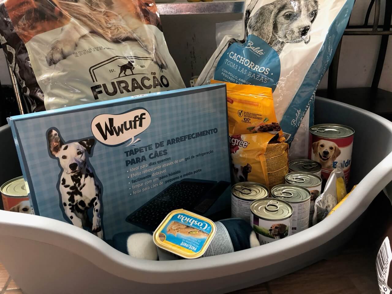 Ein Hundebett aus Plastik in dem Trockenfutter und Dosen stehen als Spenden für ein Tierheim, den Tierschutz