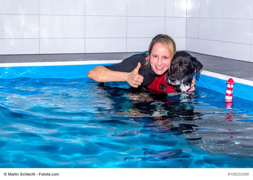 Frau mit Hund und Hundeschwimmweste im Physiotherapie Pool