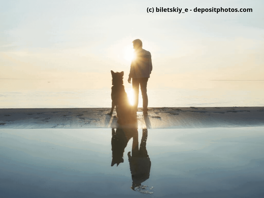 Hund mit seinem Herrschen am Strand