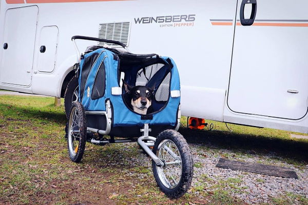 Der Haustier-Transportwagen 2in1 von Leonpets im Test