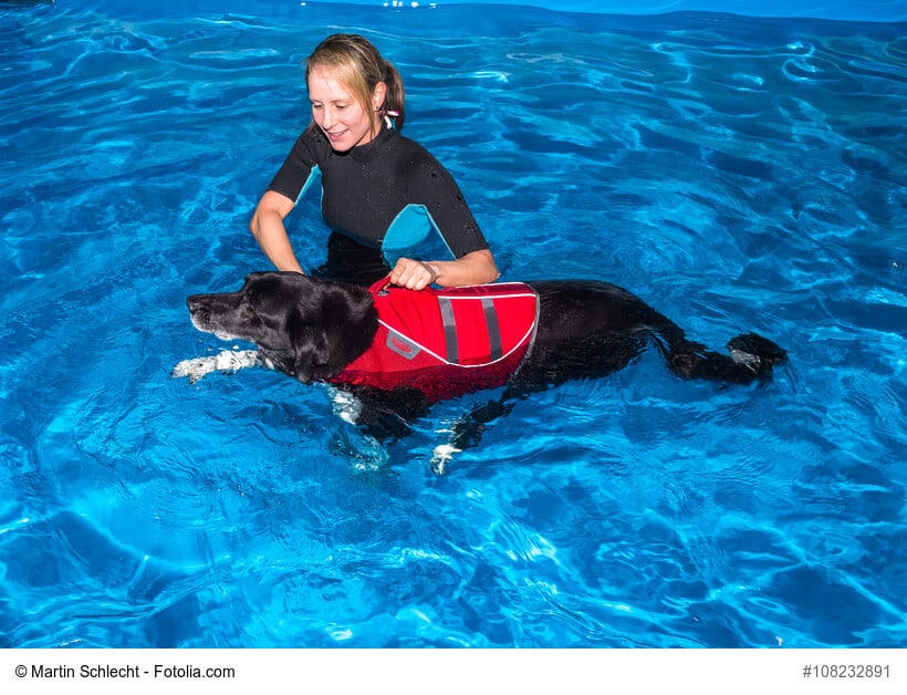 Physiotherapie für dunklen Hund im Wasser mit Therapeutin