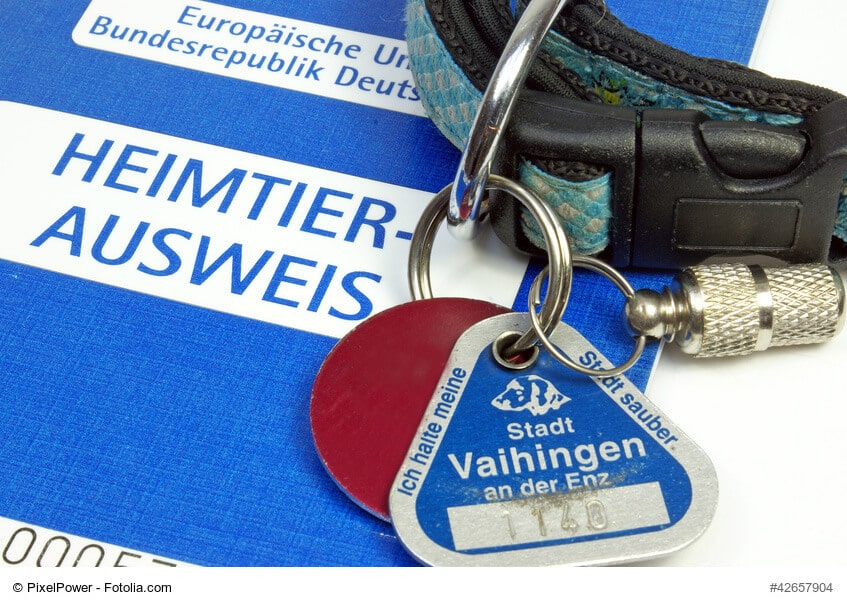 Hundehalsband mit Steuermarke und Heimtierausweis