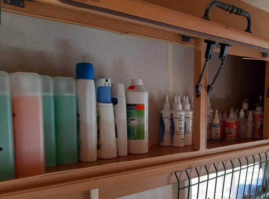 Was gehört in eine Hundeapotheke?