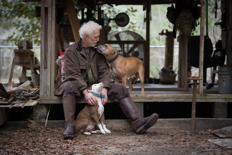 Wie alt wäre mein Hund, wenn er ein Mensch wäre?